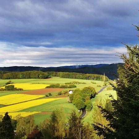 Geraeumige 2-Z Wohnung Im Gruenen, Garten, Terrasse, Ruhig, Natur, Phantastischer Blick! Marburg Екстериор снимка