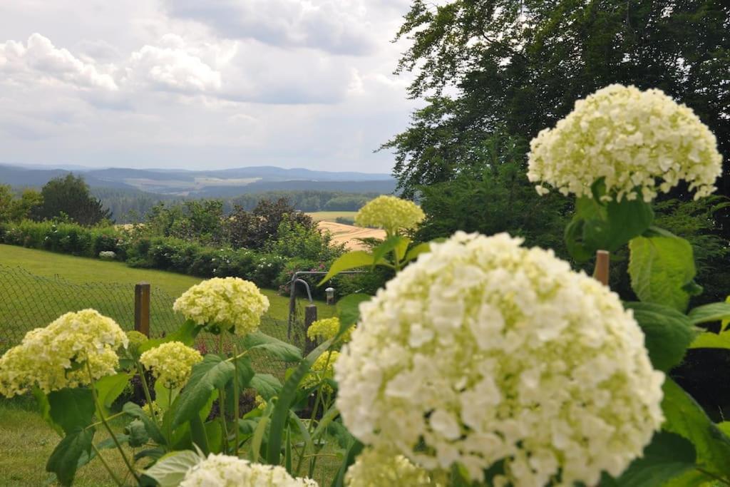 Geraeumige 2-Z Wohnung Im Gruenen, Garten, Terrasse, Ruhig, Natur, Phantastischer Blick! Marburg Екстериор снимка