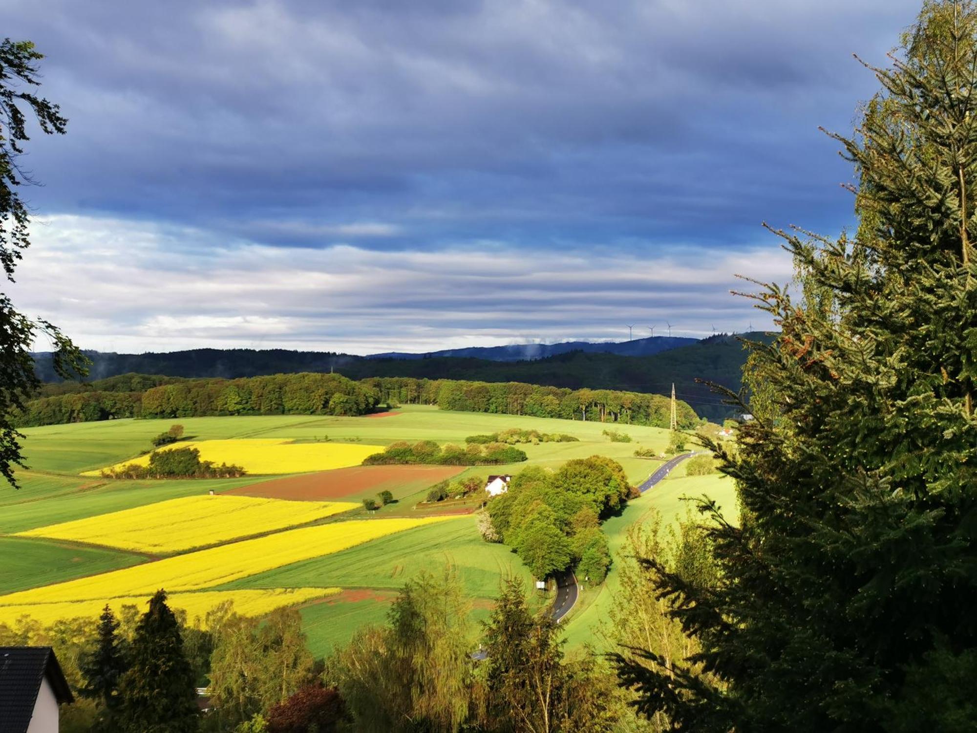 Geraeumige 2-Z Wohnung Im Gruenen, Garten, Terrasse, Ruhig, Natur, Phantastischer Blick! Marburg Екстериор снимка